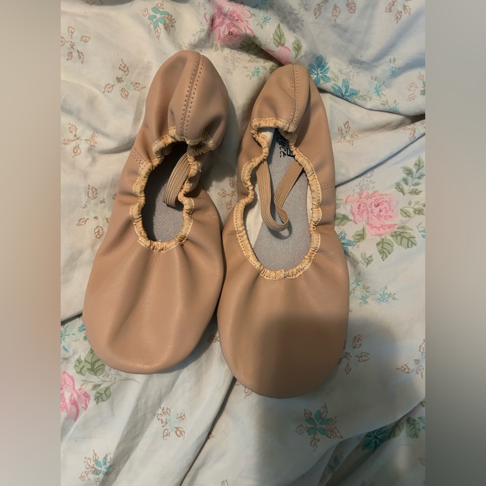 ballet shoes